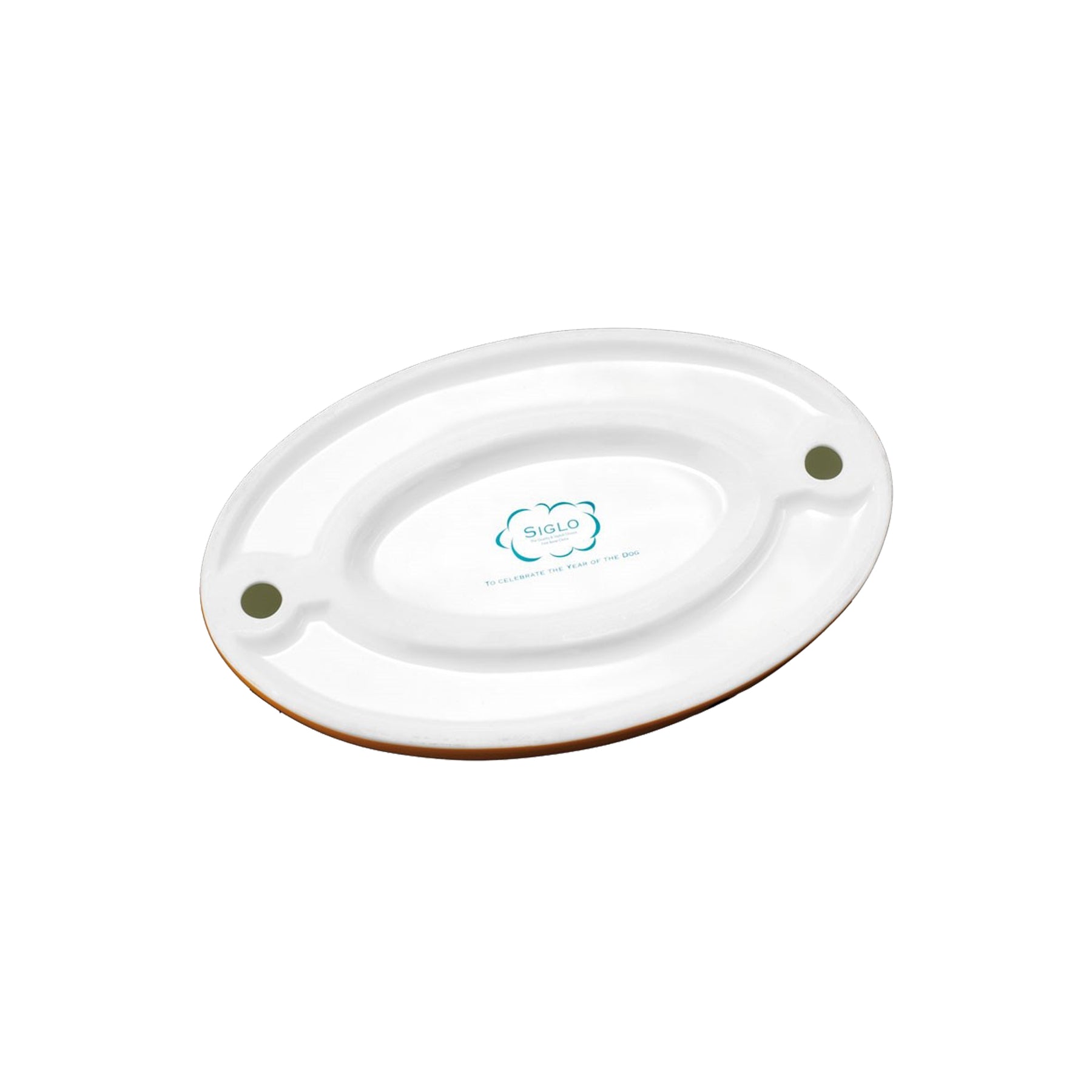 Ashtray Year of the Dog