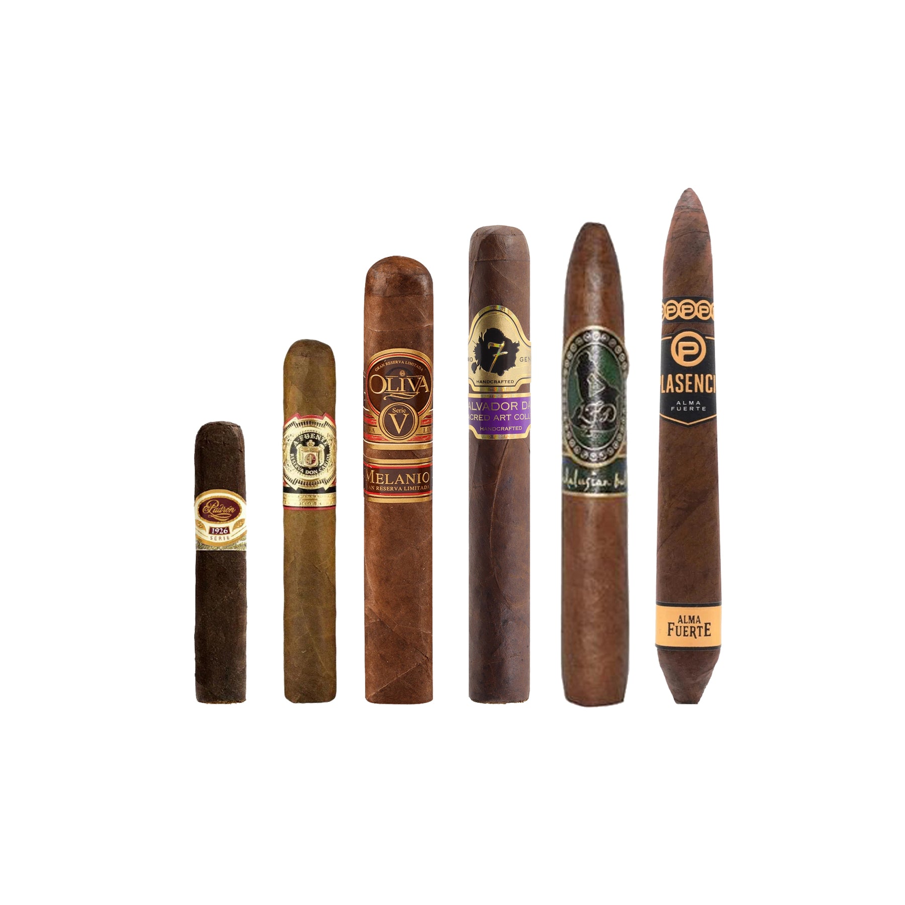 New World Premium Selection