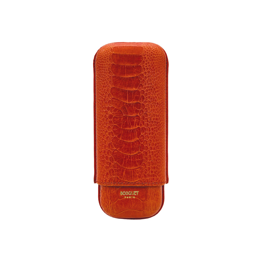 Paris Two Cigar Case